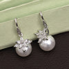 Silver Color American Diamond Earrings (ADE550SLV)