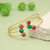 Rani & Green Color Amrapali Bracelets (AMB101RNIGRN)