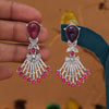 Pink Color Fashion Earrings (FE101PNK)