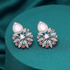 Pink Color Fashion Earrings (FE109PNK)