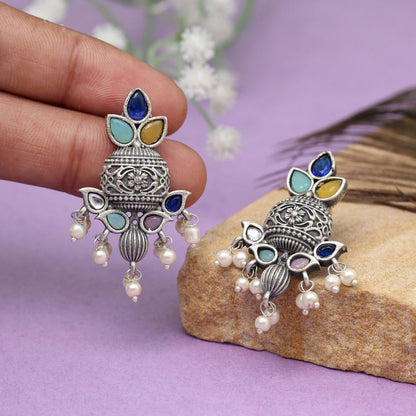 Multi Color Oxidised Earrings (GSE2963MLT)