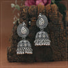 Silver Color Glass Stone Oxidised Earrings