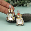 Rani Color American Diamond Earrings (HOJE109RNI)