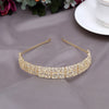 Gold Color Hair Band (HRP241GLD)