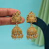 Gold Color Rajwadi Matte Gold Earrings (MGE326GLD)