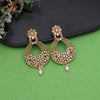 Gold Color Rajwadi Matte Gold Earrings