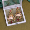 Rani Color Meenakari Earrings (MKE1964RNI)