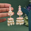 Pink Color Meenakari Earrings (MKE1989PNK)