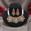 Rani Color Choker Matte Gold Meenakari Necklace Set (MKN618RNI)