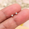 White Color Stud Earrings Combo Of 48 Pairs (STUD217CMB)