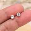 White Color Stud Earrings Combo Of 72 Pairs (STUD219CMB)