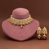 Rani Color Choker Matte Gold Rajwadi Temple Necklace Set (TPLN715RNI)