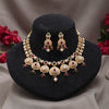 Rani & Green Color Matte Gold Rajwadi Temple Necklace Set (TPLN723RNIGRN)