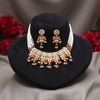 Pink Color Meena Work Matte Gold Rajwadi Temple Necklace Set (TPLN725PNK)