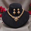 Gold Color Matte Gold Rajwadi Temple Necklace Set (TPLN726GLD)