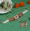 Multi Color Choker Matte Gold Rajwadi Temple Necklace Set