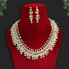 Pink & Pista Green Color Stone Necklace Set (AMPN130PNKPGRN)