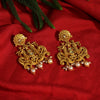 Gold Color Matte Gold Temple Earrings (MGE162GLD)