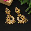 Gold Color Matte Gold Earrings (MGE166GLD)