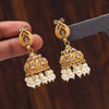 White Color Matte Gold Earrings (MGE233WHT)