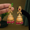 Rani Color Matte Gold Earrings (MGE259RNI)