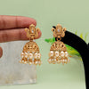 Gold Color Matte Gold Earrings (MGE274GLD)