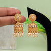 Gold Color Matte Gold Earrings (MGE275GLD)