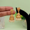 Gold Color Matte Gold Earrings (MGE281GLD)