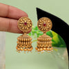 Rani Color Matte Gold Earrings (MGE282RNI)