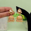 Gold Color Matte Gold Earrings (MGE285GLD)
