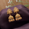 Gold Color Matte Gold Earrings (MGE294GLD)