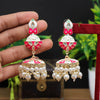 Rani Color Meenakari Earrings (MKE1592RNI)