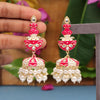 Rani Color Meenakari Earrings (MKE1598RNI)