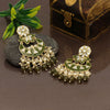 Mehandi Green Color Meenakari Earrings (MKE1764MGRN)