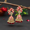 Rani Color Meenakari Earrings (MKE1771RNI)