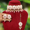 Pink Color Meenakari Choker Necklace Set (MKN420PNK)