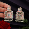Pink Color Mint Meena Earrings (MNTE446PNK)