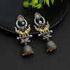 Rani Color Premium Oxidised Earrings (PGSE2606RNI)