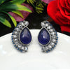 Blue Color Premium Oxidised Earrings (PGSE2607BLU)