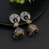 Multi Color Premium Oxidised Earrings (PGSE2608MLT)
