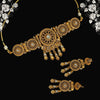 White Color Choker Matte Gold Necklace Set (TPLN294WHT)